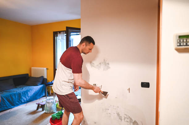 Best Mold Remediation  in Norwood, OH